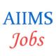 Various Professor Jobs in All India Institute of Medical Sciences (AIIMS)