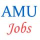 Teaching Jobs in AMU