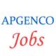 APGENCO Trainee Assistant Engineer Jobs