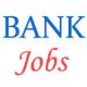 Specialist officers Jobs in Syndicate Bank