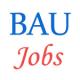 Various Jobs in Bihar Agricultural University (BAU)