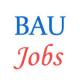 Various Jobs in Bihar Agricultural University (BAU) 