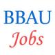 Teaching and Non-Teaching Jobs in Babasaheb Bhimrao Ambedkar University Lucknow
