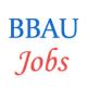 Various Jobs in Babasaheb Bhimrao Ambedkar University (BBAU)