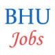Various Jobs in BANARAS HINDU UNIVERSITY (BHU)