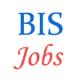 Various Jobs in Bureau of Indian Standards (BIS)