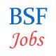 Assistant Commandant, ASI and Contable posts in BSF - December 2014