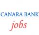 Specialist Officer Jobs in Canara Bank