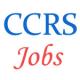 Central Council for Research in Siddha Jobs