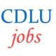 Teaching Jobs in Chaudhary Devi Lal University