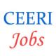 Scientist Jobs in Central Electronics Engineering Research Institute (CEERI)