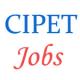 CIPET Jobs of Trainee and Assistants