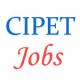 Various Jobs in Central Institute of Plastics Engineering & Technology (CIPET)