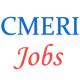 19 Posts of Scientist in Central Mechanical Engineering Research Institute (CMERI)