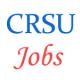 CRSU Jind Jobs