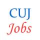 Various Jobs in Central University of Jammu (CUJ)