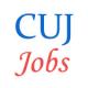 Various Professor Jobs in Central University of Jammu (CUJ)