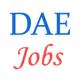 Various jobs in Government of India /Department of Atomic Energy (DAE)