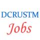 Assistant Professor Jobs in DCRUSTM Haryana
