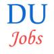 Delhi University Assistant Professor Jobs