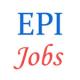 Various jobs in Engineering Projects Ltd. (EPI)