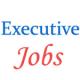 13 Posts of Executives in Aavantika Gas Limited