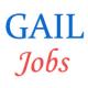 Various Jobs in GAIL Limited