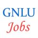 Various Jobs in Gujarat National Law University (GNLU) 
