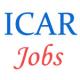 Upcoming Govt Jobs in ICAR