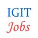 Faculty Jobs in Indira Gandhi Institute  of Technology (IGIT)