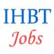 Upcoming Govt Jobs in CSIR IHBT Palampur 