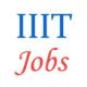 Various Jobs in Indian Institute of Information Technology (IIIT)