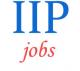 Scientist Jobs in IIP