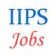 Various Jobs in International Institute for Population Sciences (IIPS)