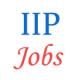 Various Jobs in Indian Institute of Packaging (IIP)