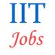 Indian Institute of Technology (IIT) Jobs