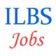 ILBS Jobs