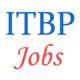 39 Head-Constable Dresser Veterinary jobs in ITBP - January 2015