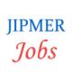 Various jobs in Jawaharlal Institute of Postgraduate Medical Education & Research (JIPMER)