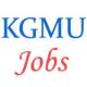KGMU Lucknow Faculty and Other Jobs