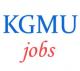 Teaching Jobs in King George's Medical University
