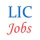 Various jobs in Life Insurance Corporation of India (LIC)