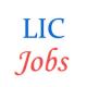 Various Jobs in Life Insurance Corporation of India (LIC) Zonal Offices