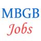 Banking Jobs in Madhya Bihar Gramin of Bank Officers - April 2015