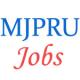 Teaching Jobs in MJP Rohilkhand University (MJPRU)