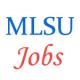 Various Jobs in MOHANLAL SUKHADIA UNIVERSITY (MLSU)