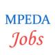 Jobs in The Marine Products Export Development Authority (MPEDA)