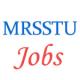 Various Professor Jobs in Maharaja Ranjit Singh State Technical University (MRSSTU)