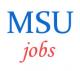 Clerical Technical Non-Teaching Staff Jobs in MSU