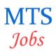 MTS Jobs in President Secretariat